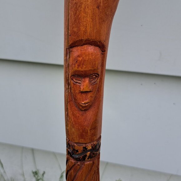 Jamaican Walking Stick - Picture 6 of 11